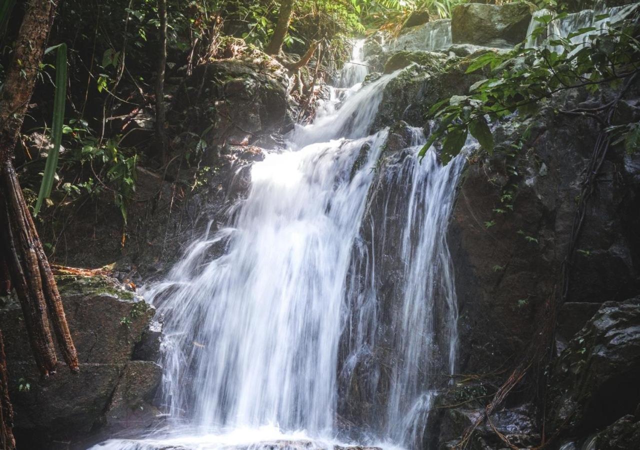 Hilltop Wellness Resort Kathu Luaran gambar